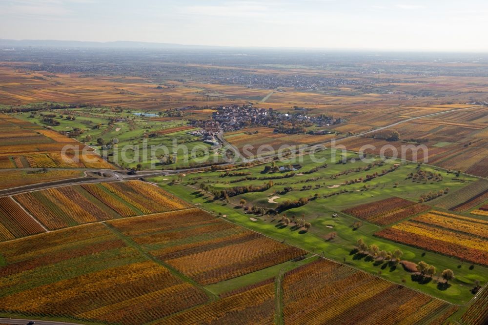 Aerial image Dackenheim - Grounds of the Golf course at Golfgarten Deutsche Weinstrasse - Dackenheim - GOLF absolute in Dackenheim in the state Rhineland-Palatinate, Germany