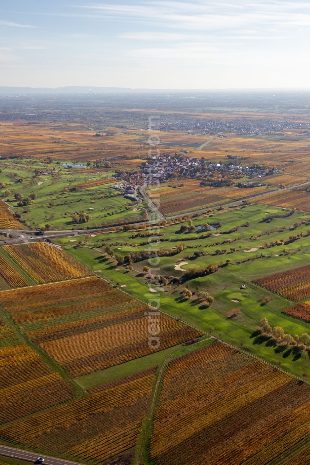 Aerial photograph Dackenheim - Grounds of the Golf course at Golfgarten Deutsche Weinstrasse - Dackenheim - GOLF absolute in Dackenheim in the state Rhineland-Palatinate, Germany