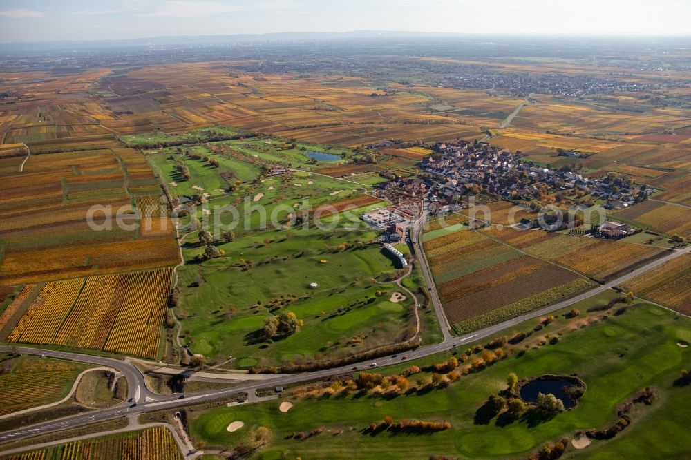 Dackenheim from above - Grounds of the Golf course at Golfgarten Deutsche Weinstrasse - Dackenheim - GOLF absolute in Dackenheim in the state Rhineland-Palatinate, Germany