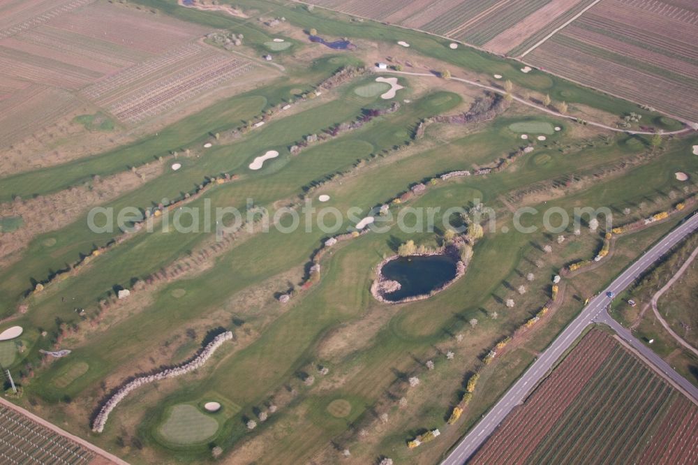 Aerial photograph Dackenheim - Grounds of the Golf course at Golfgarten Deutsche Weinstrasse in Dackenheim in the state Rhineland-Palatinate