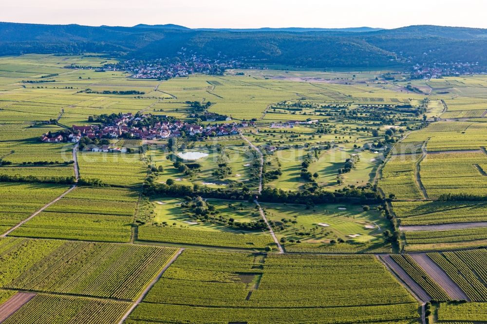 Aerial photograph Dackenheim - Grounds of the Golf course at Golfgarten Deutsche Weinstrasse in Dackenheim in the state Rhineland-Palatinate