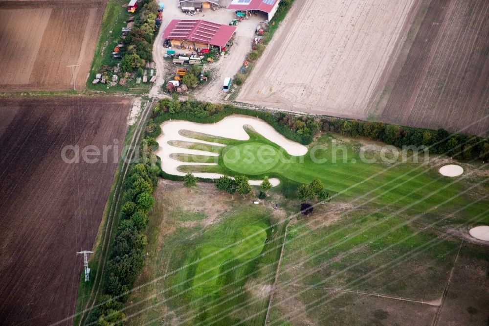 Biblis from above - Grounds of the Golf course at Golfpark Biblis-Wattenheim with hand-shaped green in Biblis in the state Hesse