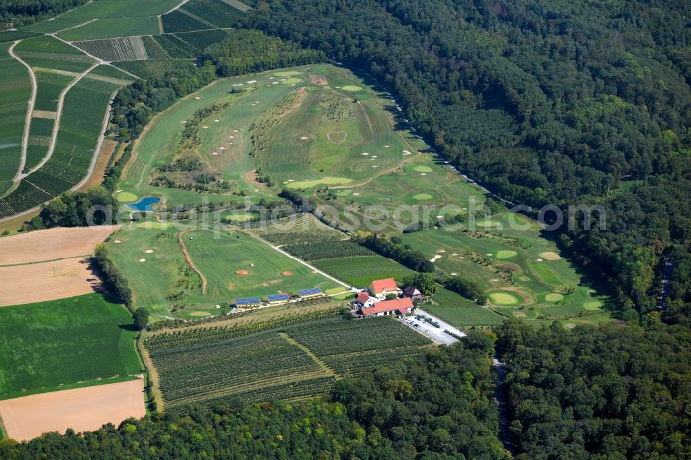 Aerial photograph Talheim - Grounds of the Golf course at of public Golf Talheimer Hof GmbH & Co KG at Talheimer Hof in Talheim in the state Baden-Wurttemberg, Germany