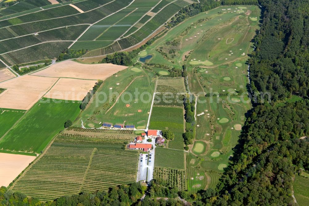 Talheim from the bird's eye view: Grounds of the Golf course at of public Golf Talheimer Hof GmbH & Co KG at Talheimer Hof in Talheim in the state Baden-Wurttemberg, Germany