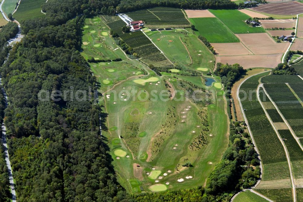 Aerial image Talheim - Grounds of the Golf course at of public Golf Talheimer Hof GmbH & Co KG at Talheimer Hof in Talheim in the state Baden-Wurttemberg, Germany