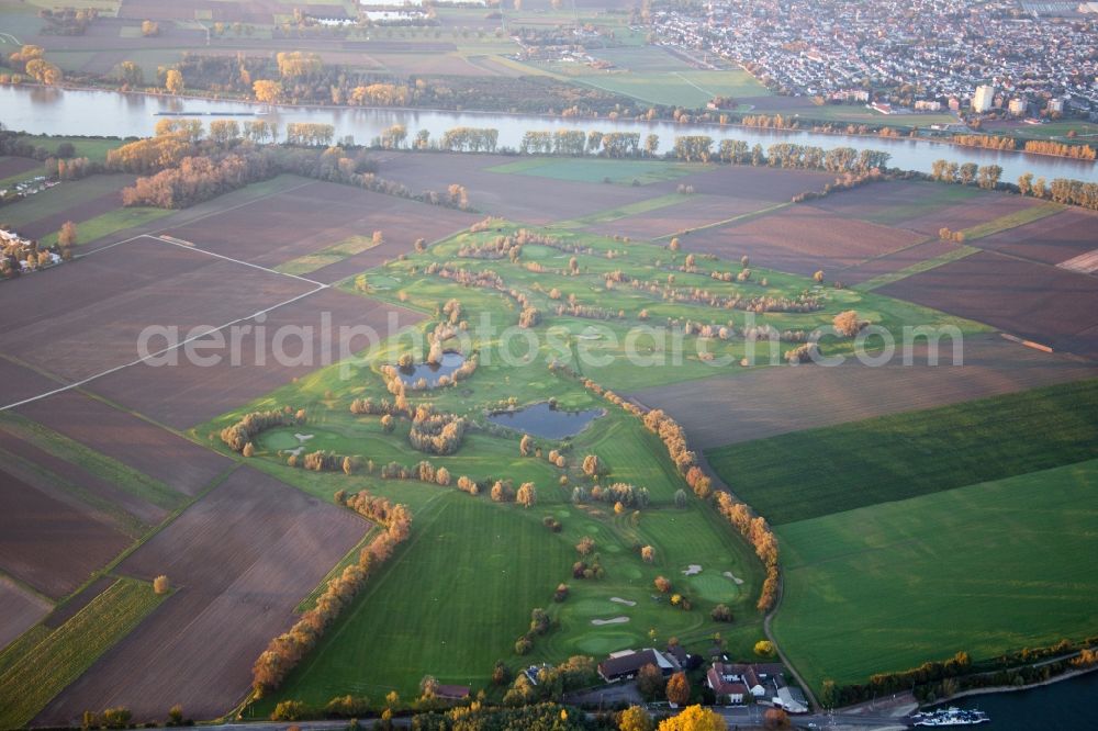 Aerial image Hamm Am Rhein - Grounds of the Golf course at GC Worms on Rhein in Hamm Am Rhein in the state Rhineland-Palatinate, Germany