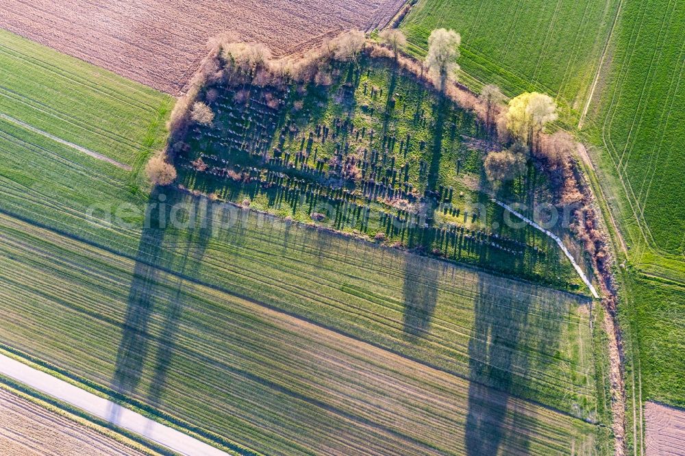 Aerial image Trimbach - Grave rows on the grounds of the old jewish cemetery von Trimbach in Trimbach in Grand Est, France