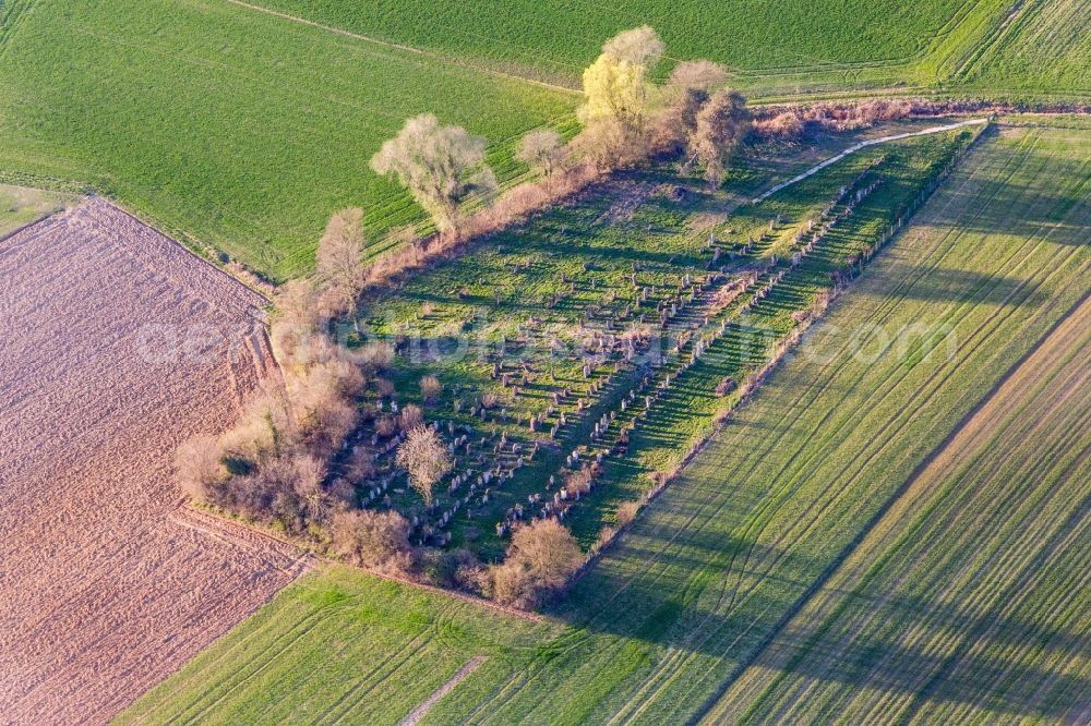 Trimbach from above - Grave rows on the grounds of the old jewish cemetery in Trimbach in Grand Est, France