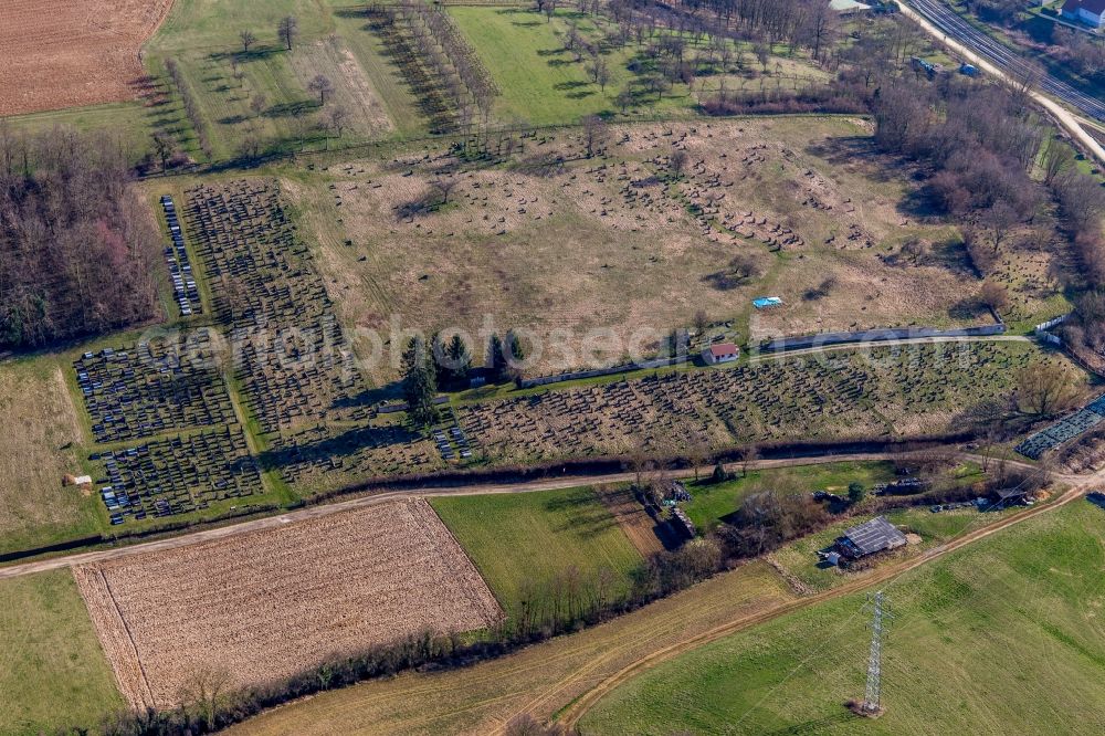 Aerial photograph Ettendorf - Grave rows on the grounds of the cemetery in Ettendorf in Grand Est, France