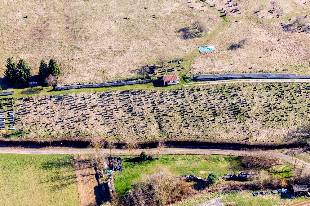 Aerial photograph Ettendorf - Grave rows on the grounds of the cemetery in Ettendorf in Grand Est, France