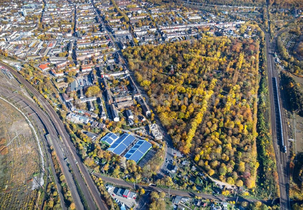 Aerial image Duisburg - Grave rows on the grounds of the cemetery Friedhof Sternbuschweg in Duisburg in the state North Rhine-Westphalia, Germany