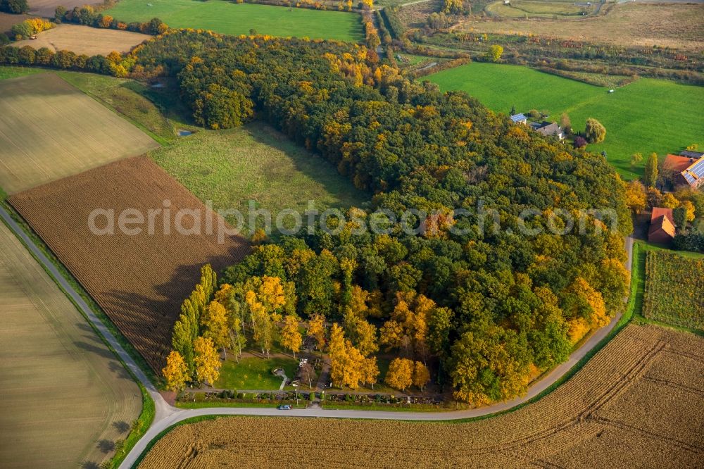 Hamm from the bird's eye view: Grave rows on the grounds of the cemetery in Hamm in the state North Rhine-Westphalia