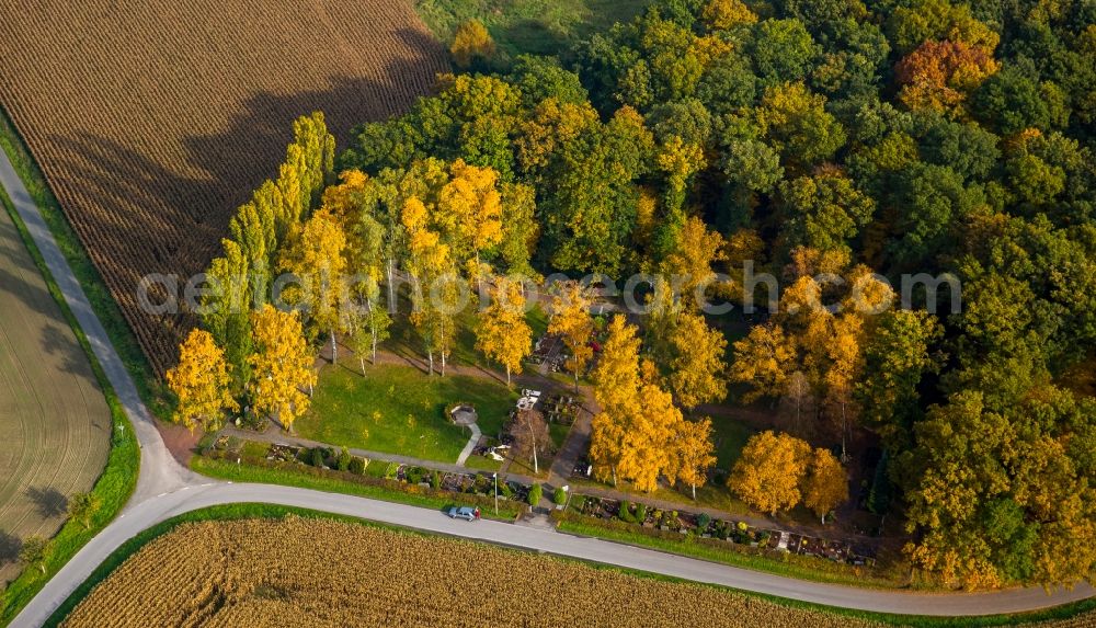 Aerial image Hamm - Grave rows on the grounds of the cemetery in Hamm in the state North Rhine-Westphalia