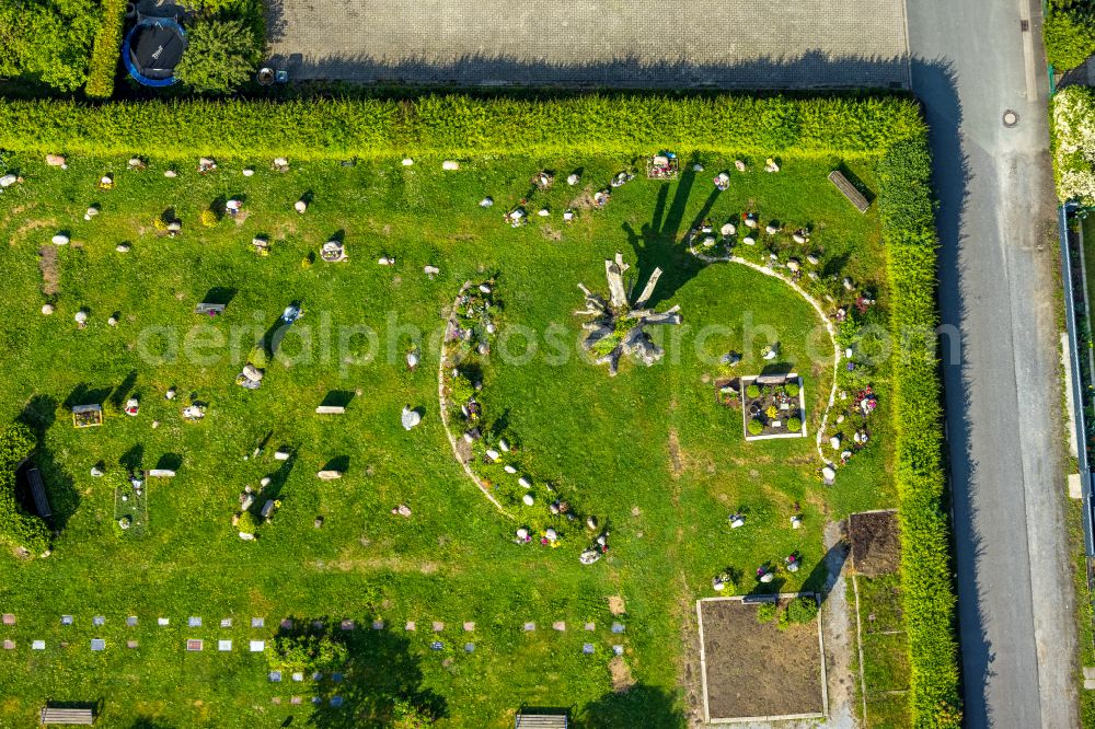 Hamm from the bird's eye view: Grave rows on the grounds of the cemetery on street Friedhofsweg in Hamm at Ruhrgebiet in the state North Rhine-Westphalia, Germany