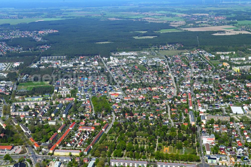 Cottbus from the bird's eye view: Grave rows on the grounds of the cemetery Nordfriedhof in Cottbus in the state Brandenburg, Germany