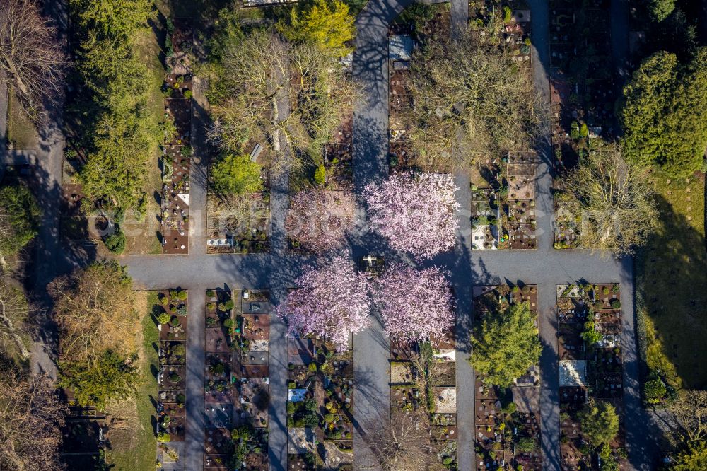 Werl from above - Rows of graves on the grounds of the graveyard Parkfriedhof on street Hinter dem Friedhof in Werl at Ruhrgebiet in the state North Rhine-Westphalia, Germany