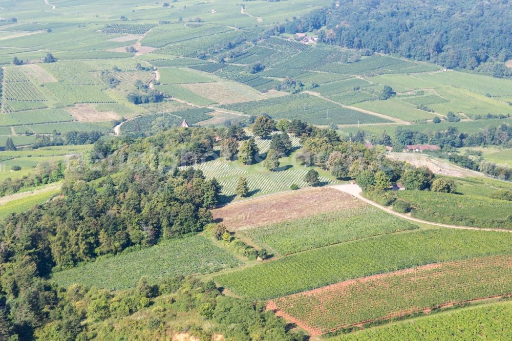 Bergheim from the bird's eye view: Grave rows on the grounds of the cemetery Mahnung fuer den Frieden in Bergheim in Grand Est, France