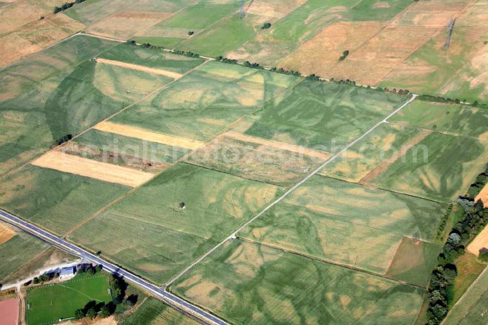 Rheinhausen from above - Structures of a field landscape in Rheinhausen in the state Baden-Wuerttemberg, Germany. Still visible in the vegetation are the meanders of the former and now drained river Rhine