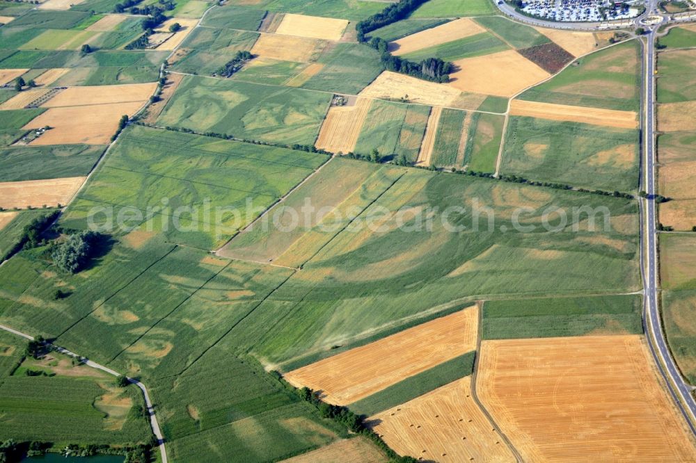 Aerial image Rust - Structures of a field landscape in Rust in the state Baden-Wuerttemberg, Germany. Still visible in the vegetation are the meander of the former and now drained river Rhine