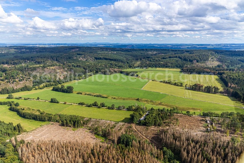 Aerial photograph Brilon - Structures of a field landscape Abachtal in Brilon in the state North Rhine-Westphalia, Germany