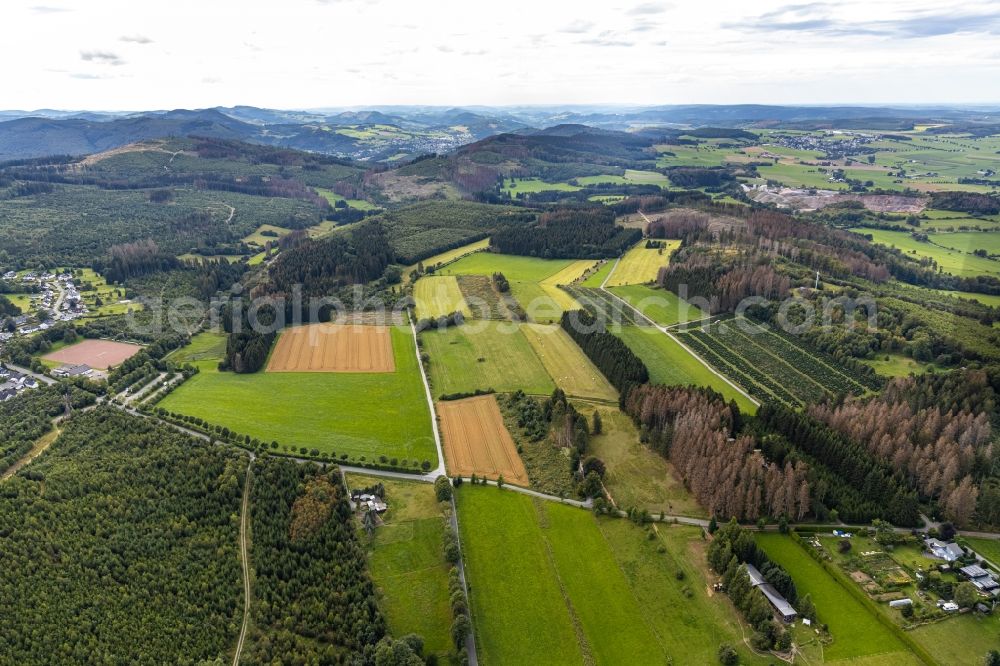 Aerial photograph Brilon - Structures of a field landscape Abachtal in Brilon in the state North Rhine-Westphalia, Germany