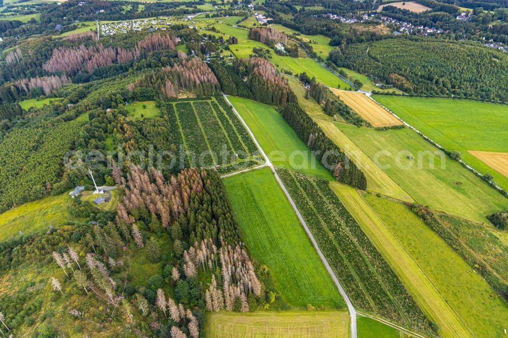 Brilon from above - Structures of a field landscape Abachtal in Brilon in the state North Rhine-Westphalia, Germany