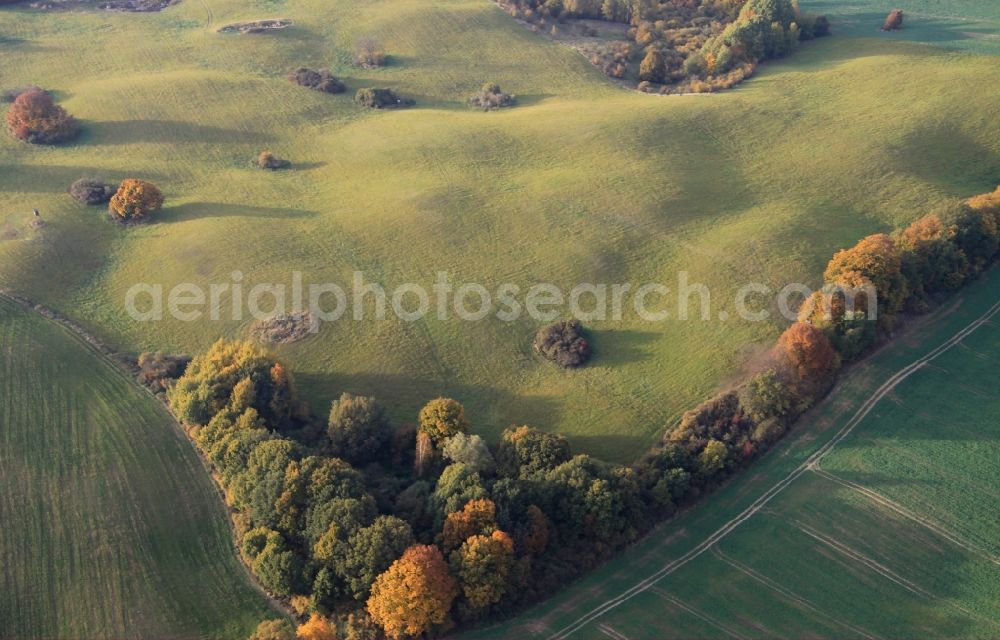 Altkünkendorf from the bird's eye view: Structures of a field landscape in Altkuenkendorf in the state Brandenburg