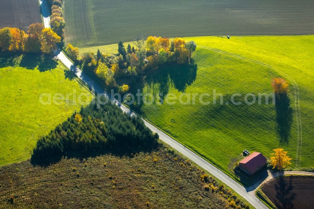 Arnsberg from above - Structures of a field landscape in Arnsberg in the state North Rhine-Westphalia