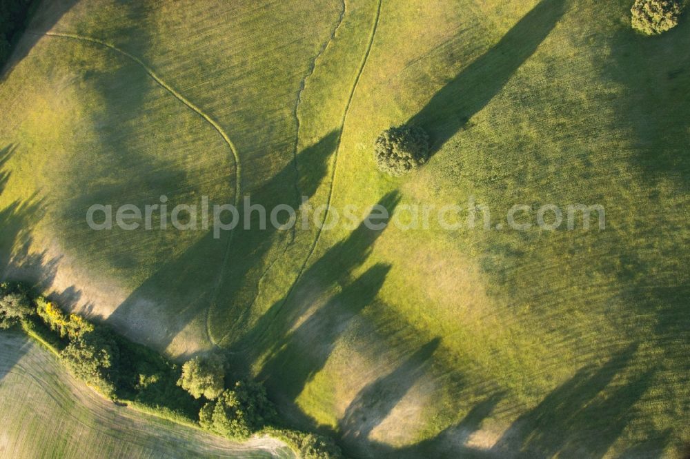 Trequanda from above - Structures of a field landscape with shadows of scrubs and trees in the district Localita Il Colle in Trequanda in Toscana, Italy