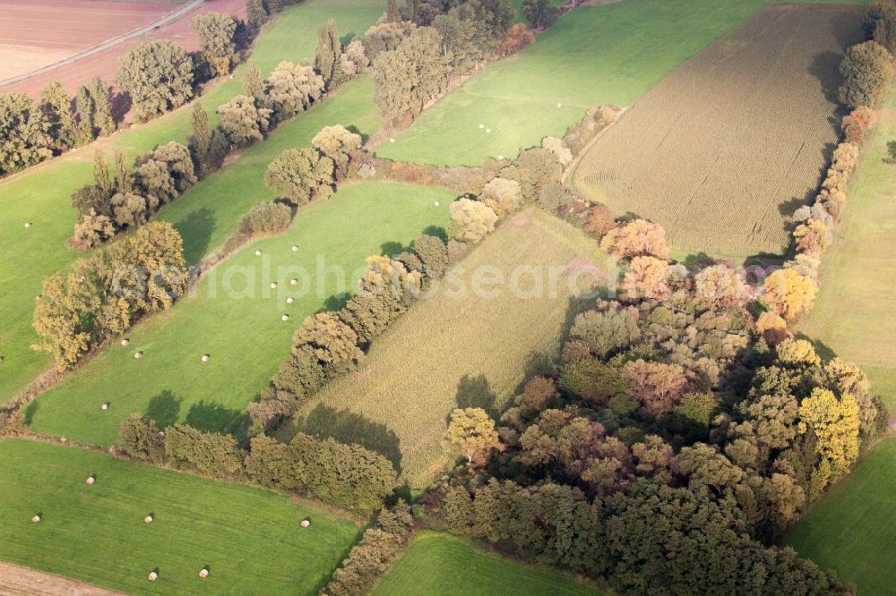 Aerial image Böbingen - Structures of a field landscape in Boebingen in the state Rhineland-Palatinate