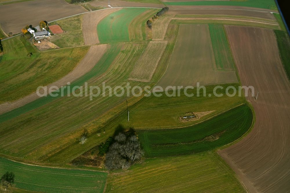 Bledesbach from the bird's eye view: Structures of a field landscape in Bledesbach in the state Rhineland-Palatinate, Germany