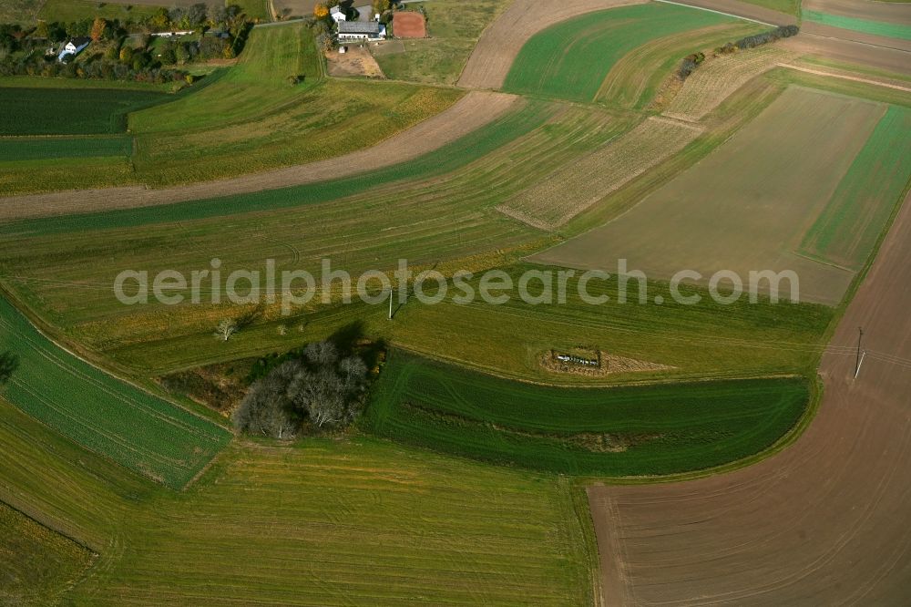 Aerial photograph Bledesbach - Structures of a field landscape in Bledesbach in the state Rhineland-Palatinate, Germany