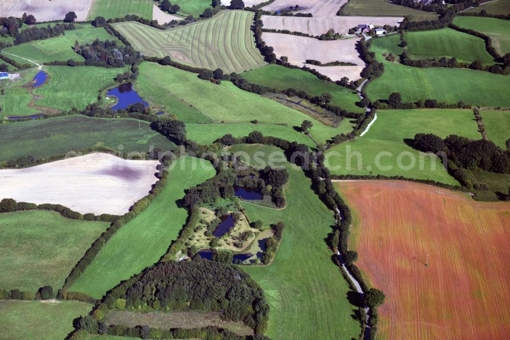 Blumenthal from the bird's eye view: Structures of a field landscape in Blumenthal in the state Schleswig-Holstein