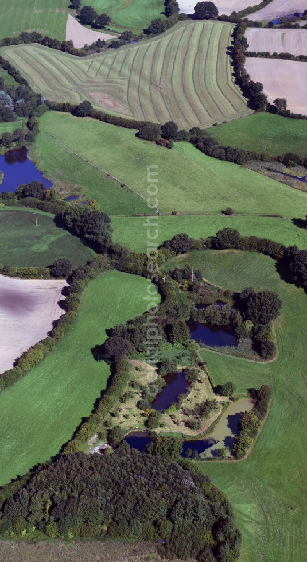 Aerial image Blumenthal - Structures of a field landscape in Blumenthal in the state Schleswig-Holstein