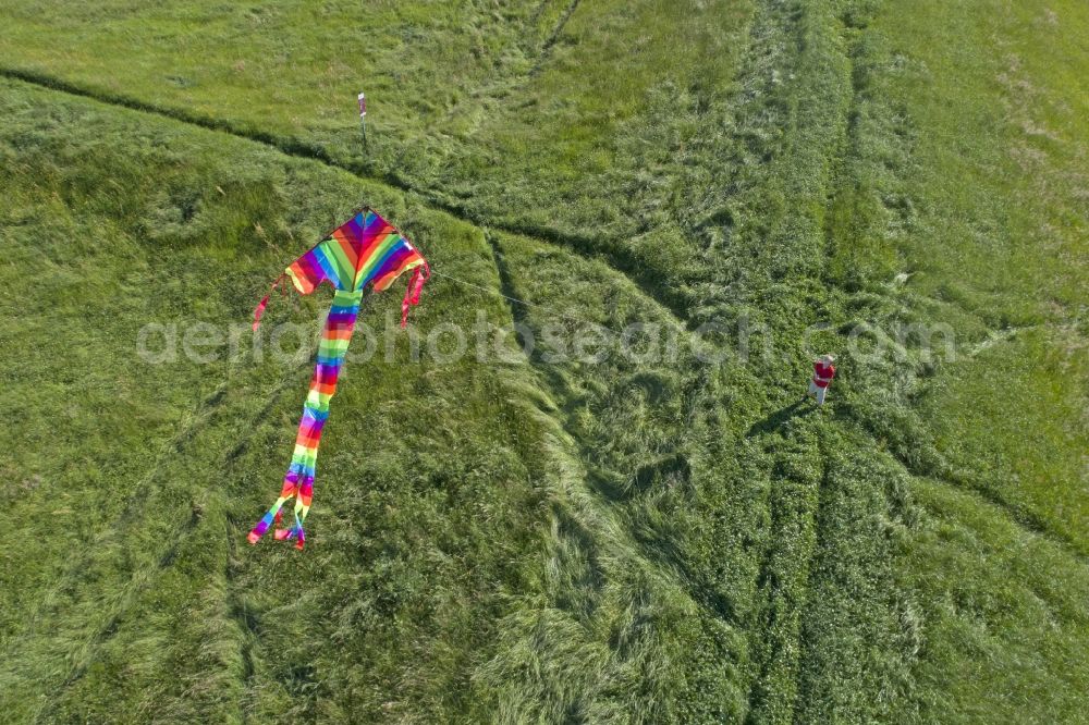 Aerial image Bleckede - Structures of a field landscape with family- play flights in Bleckede in the state Lower Saxony, Germany