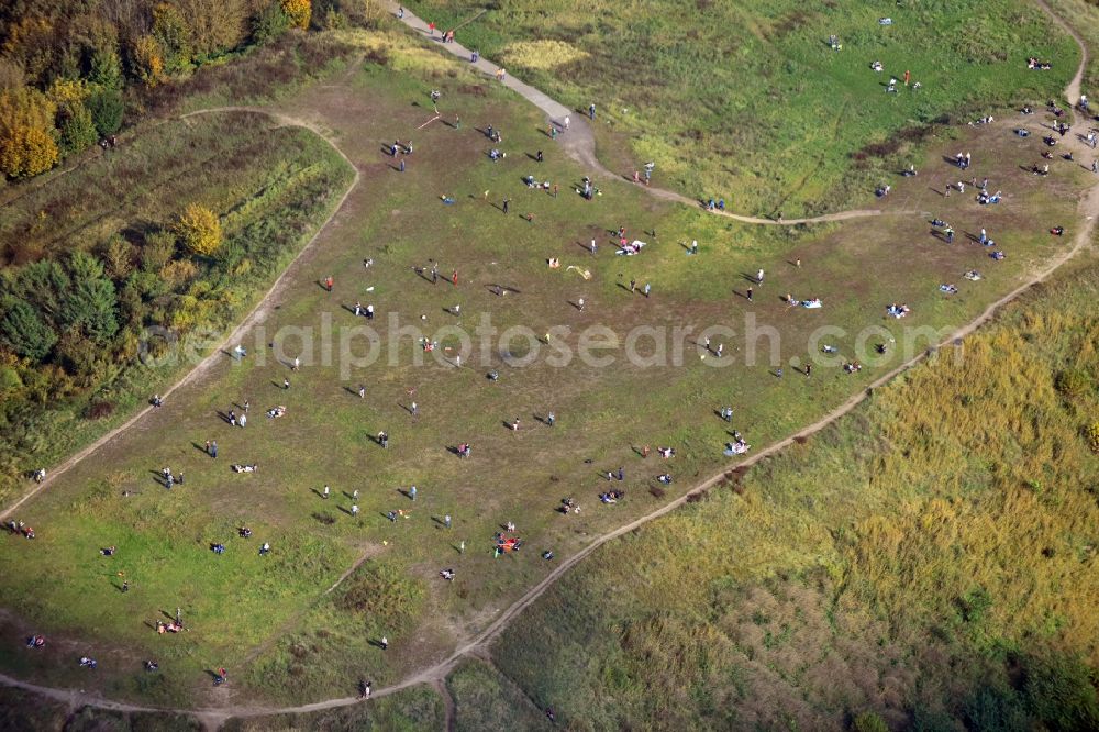 Aerial photograph Berlin - Structures of a field landscape Drachenberg in the district Charlottenburg in Berlin, Germany