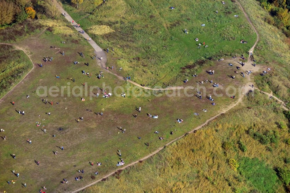 Berlin from above - Structures of a field landscape Drachenberg in the district Charlottenburg in Berlin, Germany