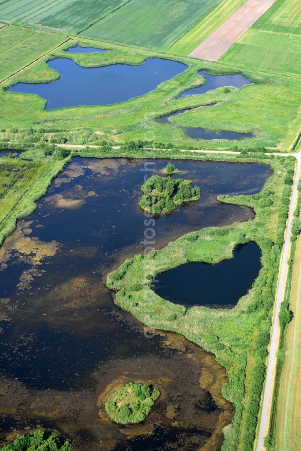 Aerial image Drage - Structures of a field landscape in Drage in the state Lower Saxony