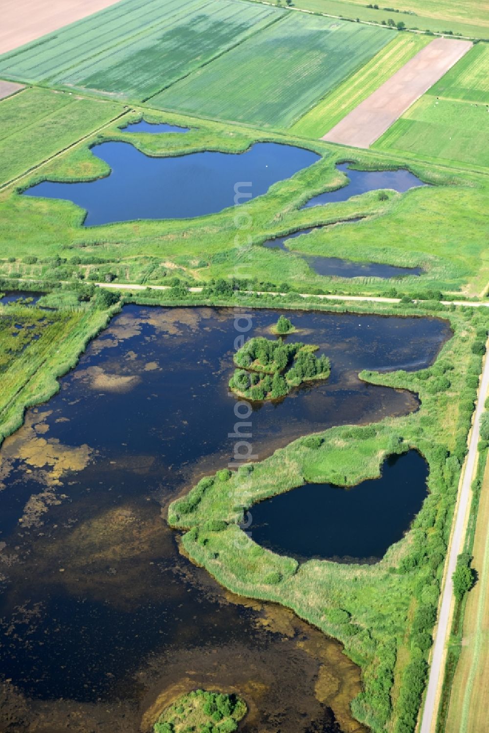 Aerial photograph Drage - Structures of a field landscape in Drage in the state Lower Saxony