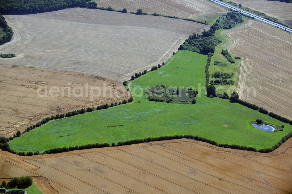 Dummerstorf from the bird's eye view: Structures of a field landscape in Dummerstorf in the state Mecklenburg - Western Pomerania