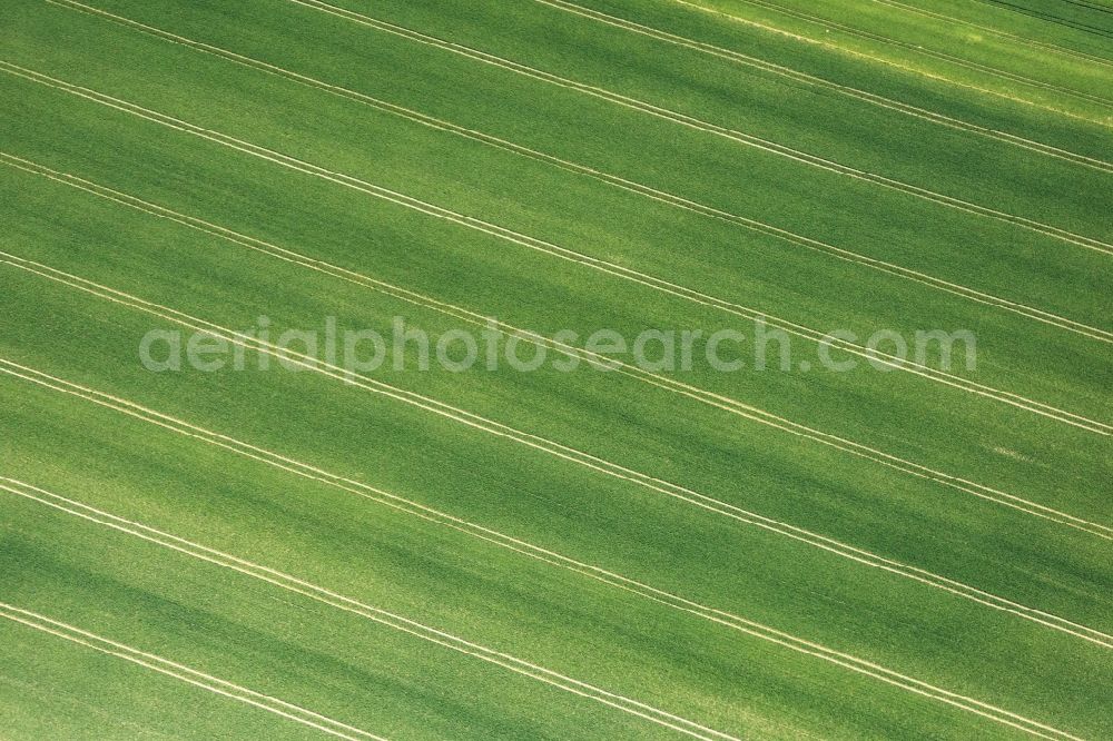 Aerial photograph Egglkofen - Structures of a field landscape in Egglkofen in the state Bavaria, Germany