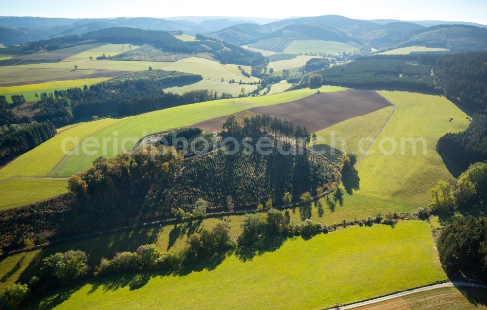 Meschede from the bird's eye view: Structures of a field landscape in Frielinghausen in Meschede in the state North Rhine-Westphalia