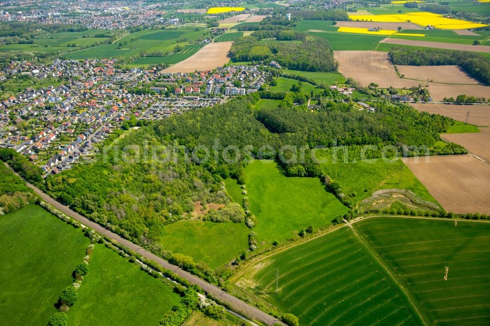 Hamm from the bird's eye view: Structures of a field landscape in Hamm in the state North Rhine-Westphalia