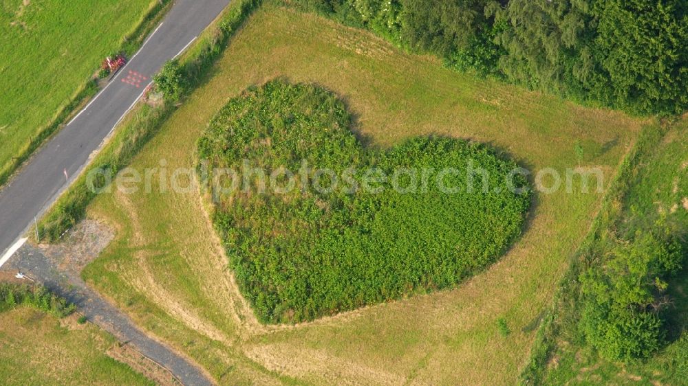 Aerial image Rauschendorf - Structures of a field landscape in heart shape in Rauschendorf in the state North Rhine-Westphalia, Germany