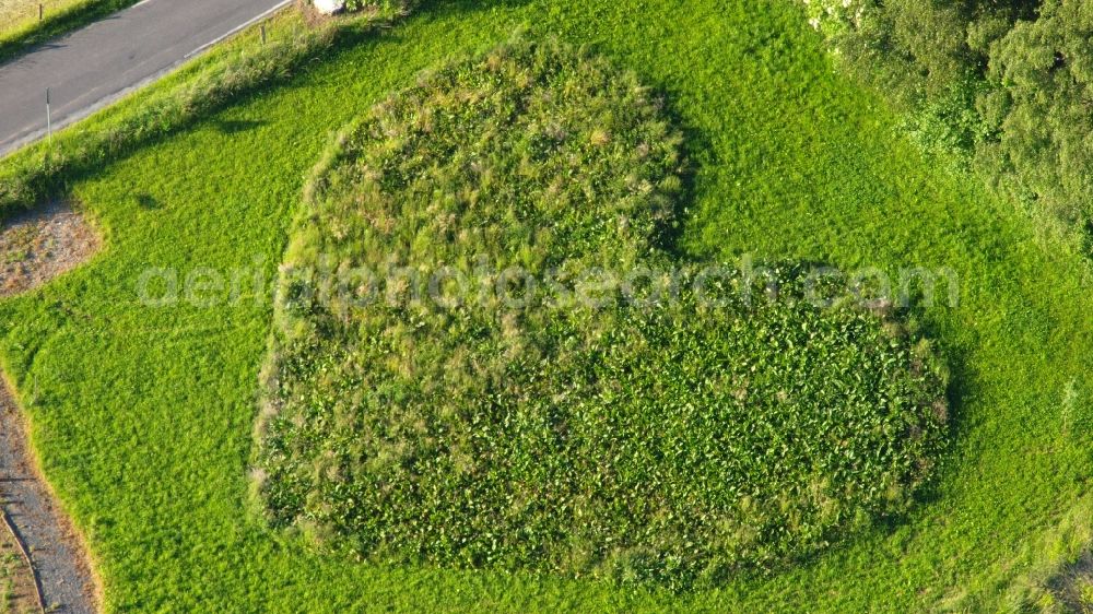 Rauschendorf from the bird's eye view: Structures of a field landscape in heart shape in Rauschendorf in the state North Rhine-Westphalia, Germany