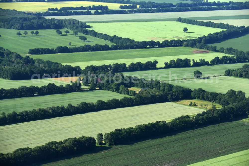 Aerial photograph Lübtheen - Structures of a field landscape in Luebtheen in the state Mecklenburg - Western Pomerania
