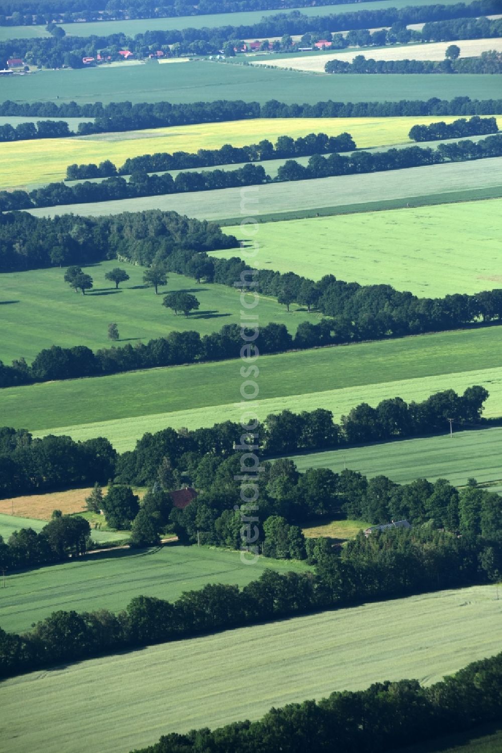 Lübtheen from the bird's eye view: Structures of a field landscape in Luebtheen in the state Mecklenburg - Western Pomerania