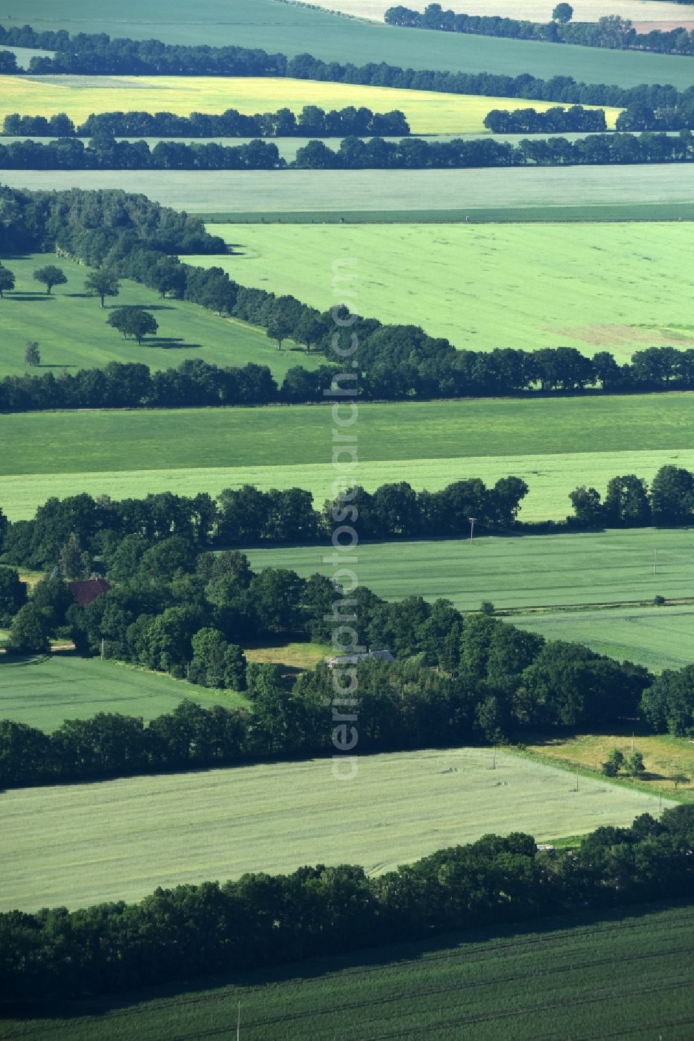 Aerial image Lübtheen - Structures of a field landscape in Luebtheen in the state Mecklenburg - Western Pomerania