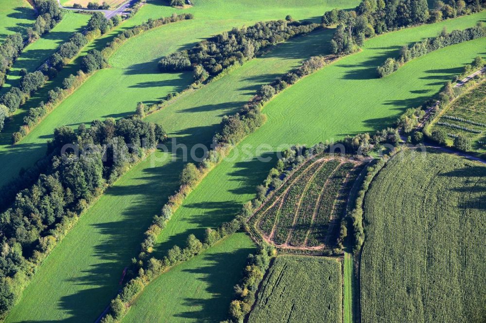 Aerial photograph Bad Soden-Salmünster - Structures of a field landscape in Mernes in the state Hesse