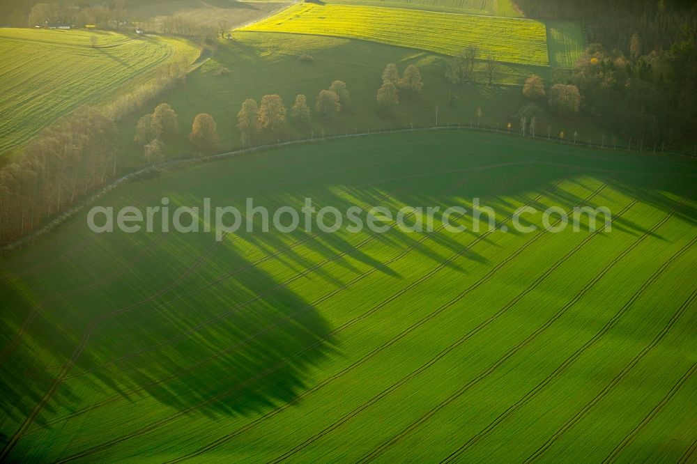 Meschede from the bird's eye view: Structures of a field landscape in Meschede in the state North Rhine-Westphalia, Germany